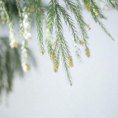 网信彩票-用户登录