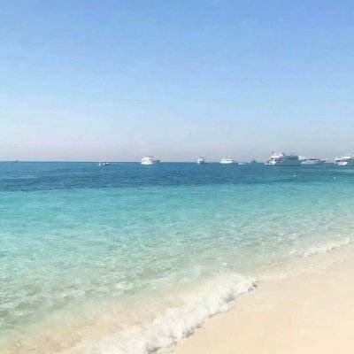 半岛官方APP入口