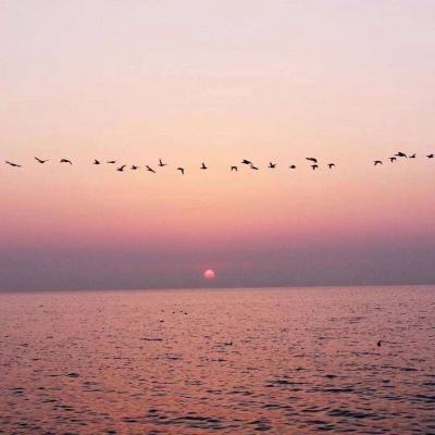 环球体育官方登录入口