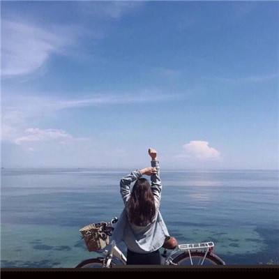 澳门王中王100%的资料下载手机版