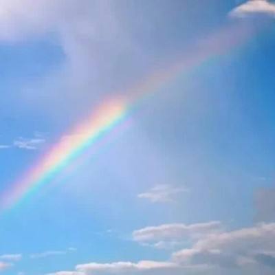 半岛平台官方网站入口