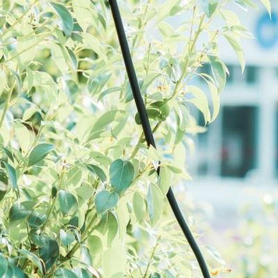 云平台登录注册入口