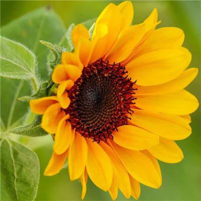 万博体育官方app