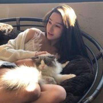 BO半岛综合app安全下载下载手机版截图